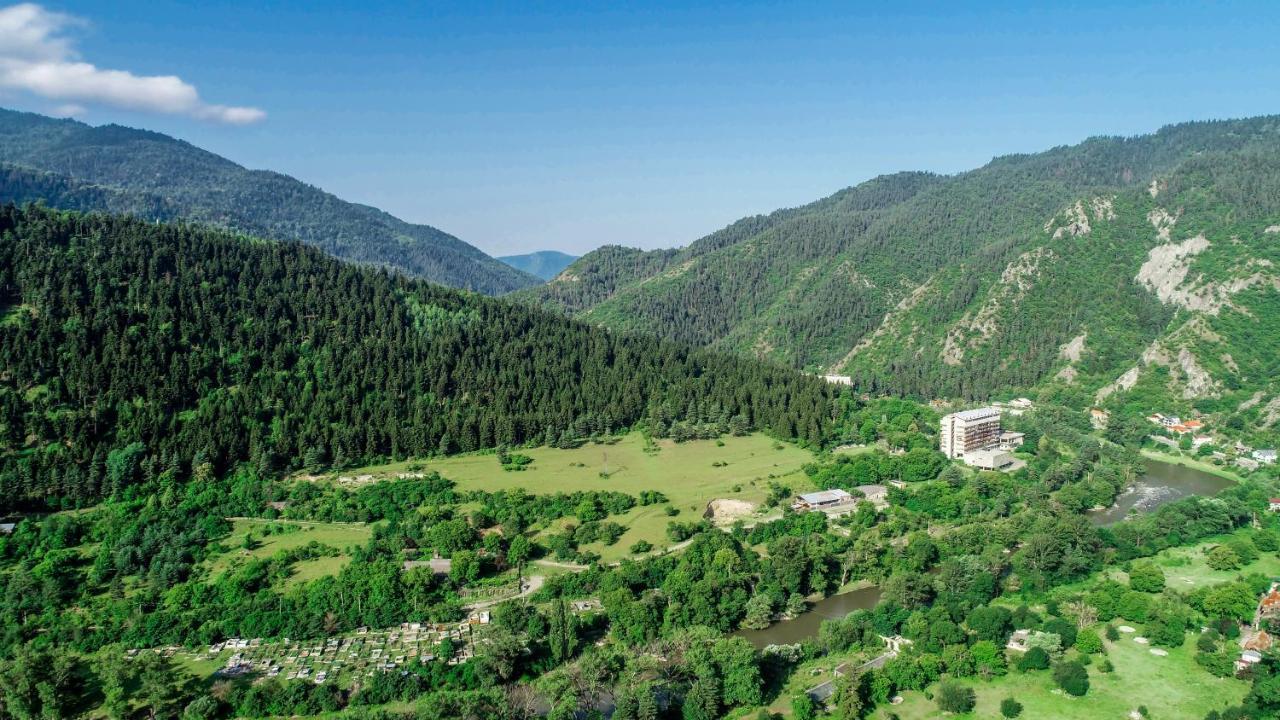 Natali Hotel Borjomi Εξωτερικό φωτογραφία