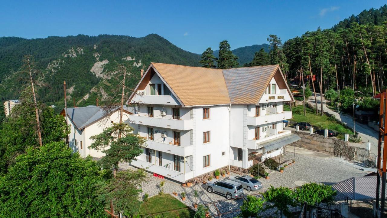Natali Hotel Borjomi Εξωτερικό φωτογραφία