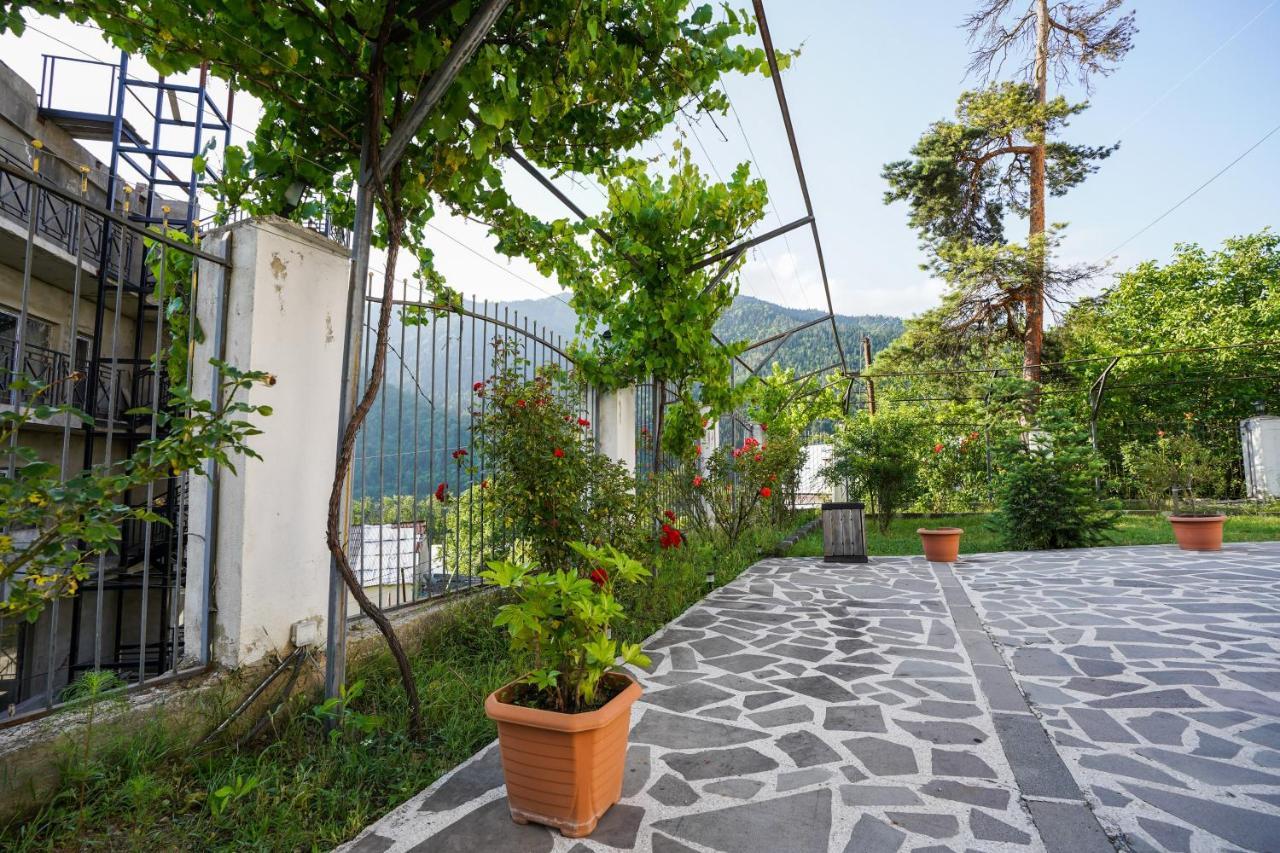 Natali Hotel Borjomi Εξωτερικό φωτογραφία