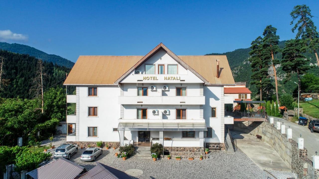 Natali Hotel Borjomi Εξωτερικό φωτογραφία