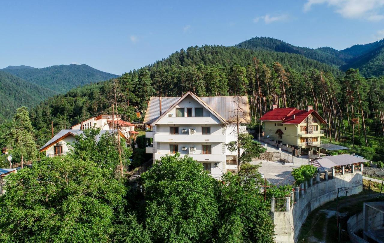 Natali Hotel Borjomi Εξωτερικό φωτογραφία