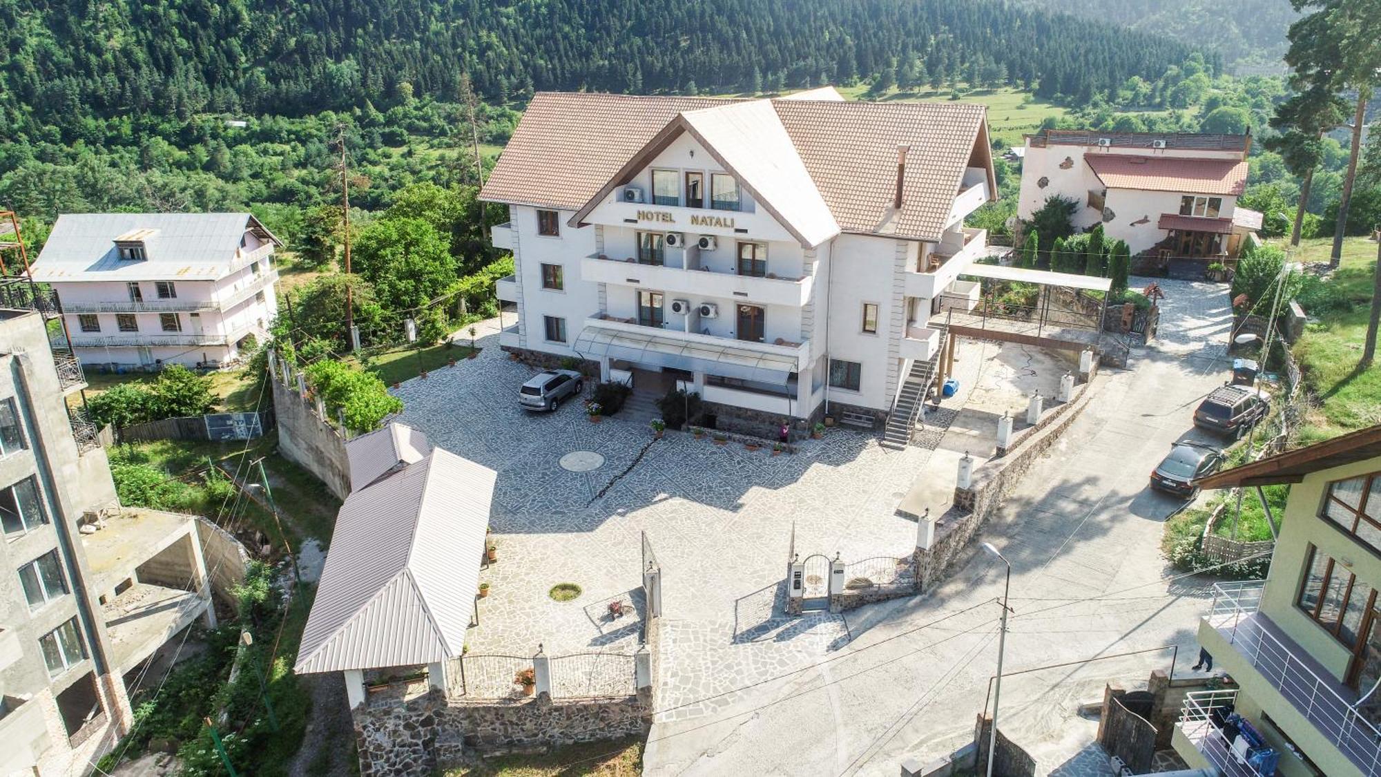 Natali Hotel Borjomi Εξωτερικό φωτογραφία