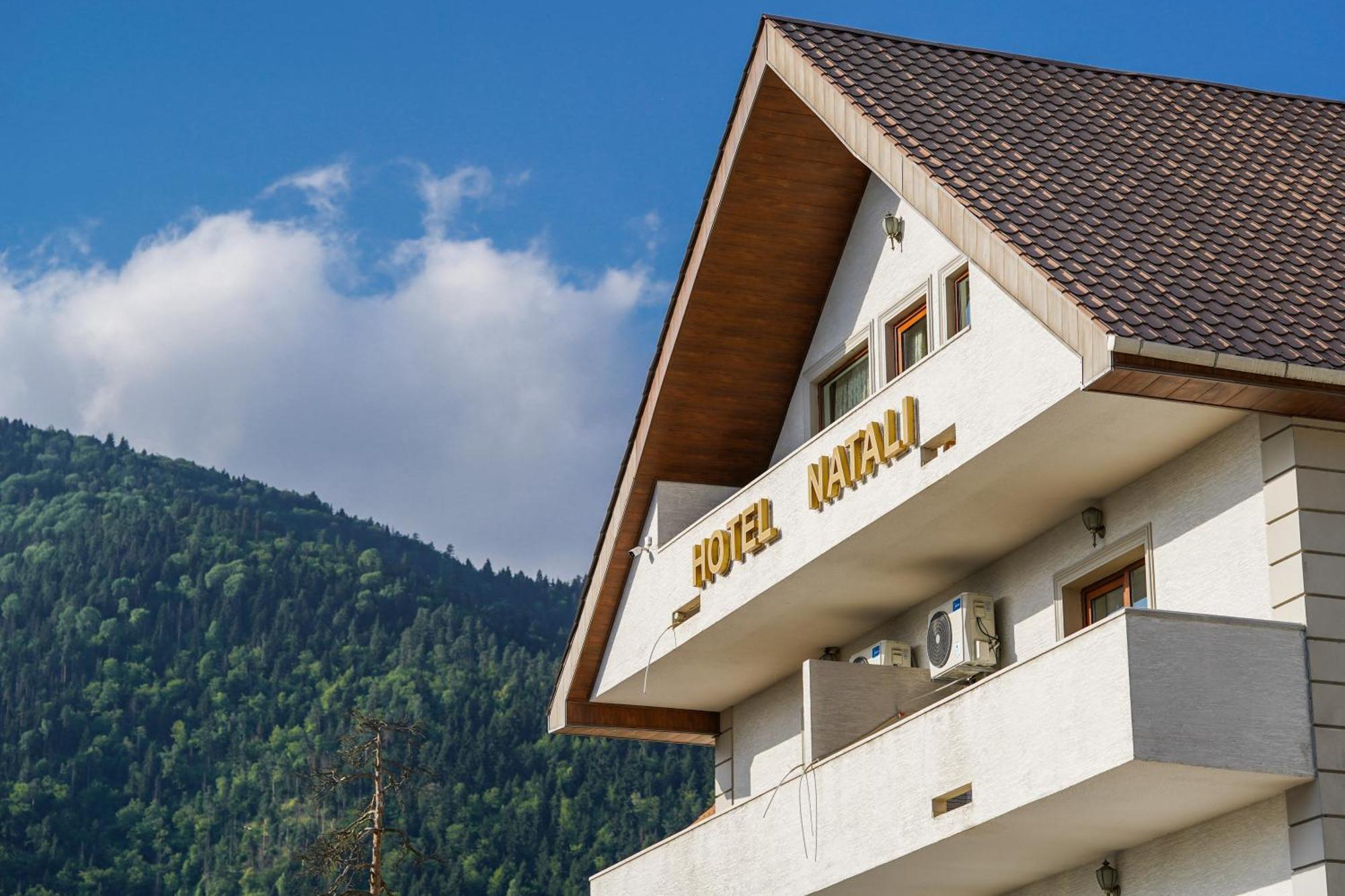 Natali Hotel Borjomi Εξωτερικό φωτογραφία